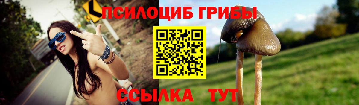 Наро-Фоминск  купить закладку  Вход с VPN  Псилоцибиновые грибы GOLDEN TEACHER 